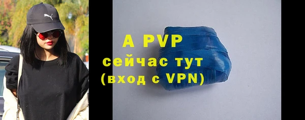 ECSTASY Белокуриха