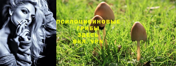 гидра Богданович