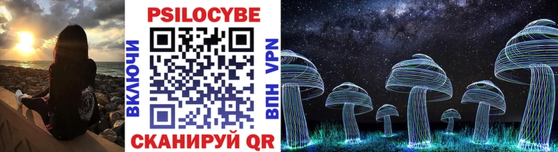 Псилоцибиновые грибы Psilocybe  Верещагино 